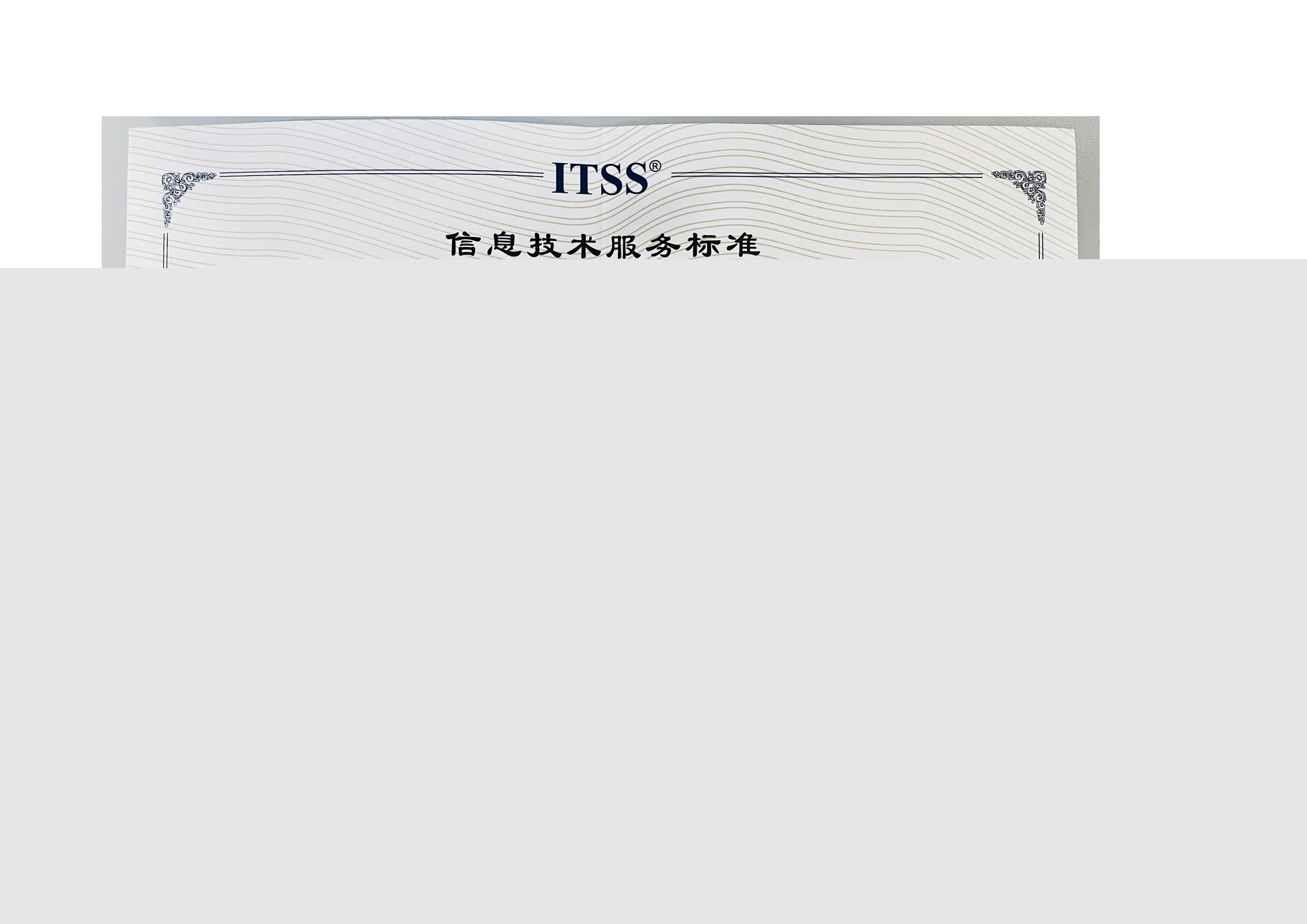 公司资质